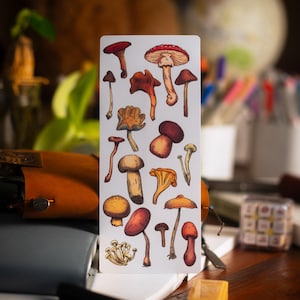 Mushroom Sticker Sheet | Die-cut vinyl sticker | Deco Korean Stationery | Journal and Scrapbook Stickers | Nature and Plant Stickers
