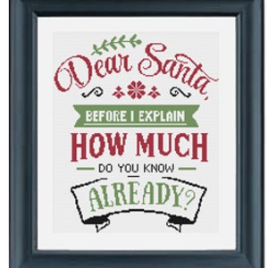 Dear Santa, How Much Do You Know? Funny Xmas Cross Stitch Pattern PDF