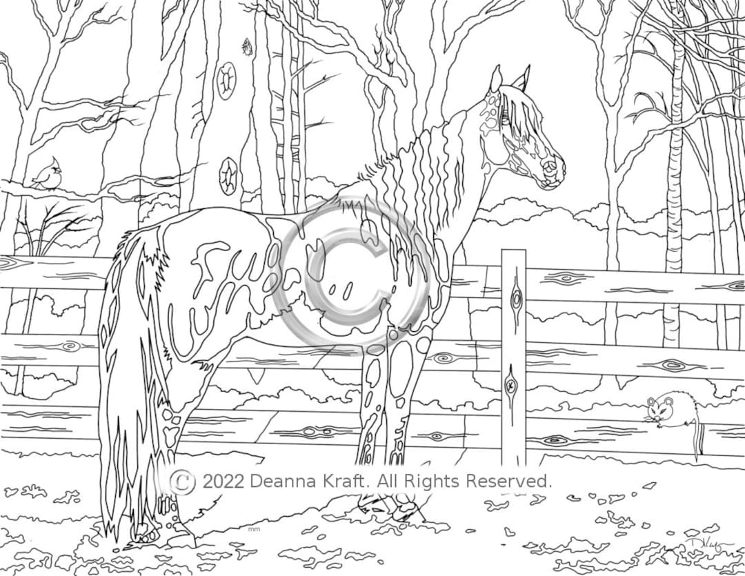 Horse Coloring Page, Arabian, Adult Coloring Page, Coloring Book, Horse