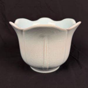 Peut inclure: Un cache-pot en céramique bleu pâle avec un bord festonné et des lignes verticales en relief sur le corps extérieur. Le récipient présente une finition lisse et brillante ainsi qu'une base arrondie, formant une silhouette en fleur.