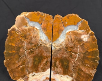Heavy 2.5kg Polished Agate Stone Bookends | Earthy Brown & Cream Crystal Geode