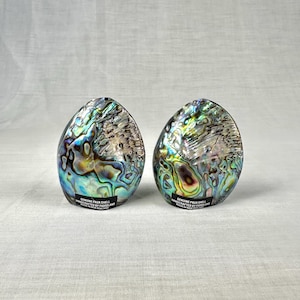 May include: Two iridescent paua shell sculptures with a pearlescent, swirling pattern of blues, greens, and purples. Each shell has a black label with white text that reads "GENUINE PAUA SHELL HANDCRAFTED BY FIORDLAND MADE IN NEW ZEALAND."