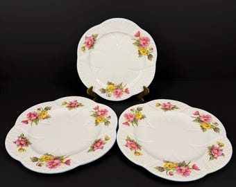Platos antiguos de porcelana fina Shelley England - Modelo "Begonia" n.° 13427