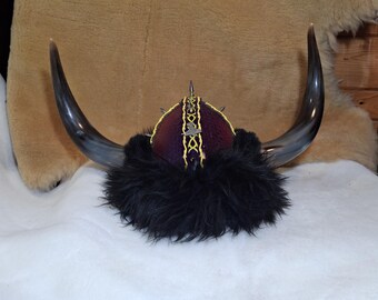 standard Minnesota Viking helmet