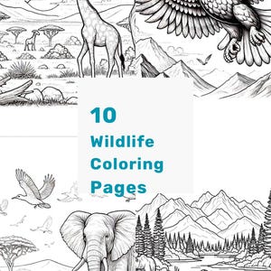 Wildlife Coloring Pages