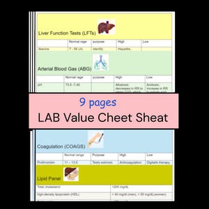 Lab Wert Spickzettel + AGB + Erinnerungstricks | 9 Seiten, PDF Sofort-Download, Englisch: Englisch - Englisch - Deutsch