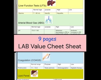 検査値チートシート + ABG + 記憶術 | 9ページ PDF 即時ダウンロード、看護学校学生ノート、看護師学習ガイド、NCLEX、臨床