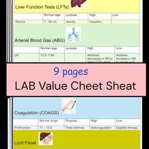 May include: A 9-page lab value cheat sheet featuring medical reference tables. The document includes sections for Liver Function Tests, Arterial Blood Gas, Coagulation, and Lipid Panels, with icons for organs and medical procedures included.