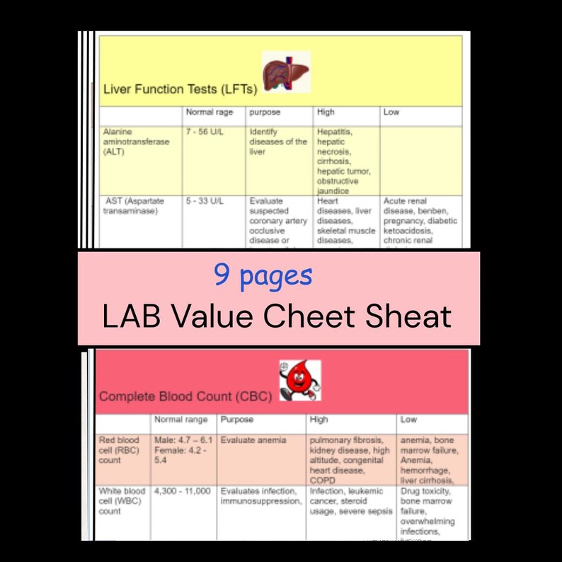 Lab Value Cheat Sheet + ABG + Memory Tricks | 9 Pages PDF Instant ...