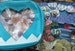 Ita Bag Inserts 