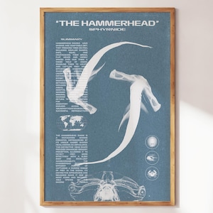 Hammerhead Shark Wall Art | Aquatic Animals Wall Art | Sharks Print | Wall Art for Animal Lovers | Marine Biology Prints | Shark Species