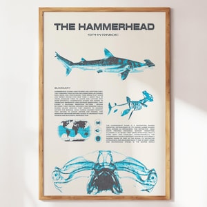 Hammerhead Shark Wall Art | Aquatic Animals Wall Art | Sharks Print | Wall Art for Animal Lovers | Marine Biology Prints | Shark Species