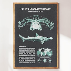 Hammerhead Shark Wall Art | Aquatic Animals Wall Art | Sharks Print | Wall Art for Animal Lovers | Marine Biology Prints | Shark Species