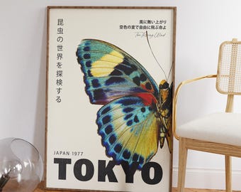 洋書 Butterflies from China, Japan, and Corea Butterflies From China, Japan, And Corea; Volume 2