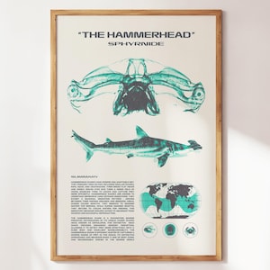 Hammerhead Shark Wall Art | Aquatic Animals Wall Art | Sharks Print | Wall Art for Animal Lovers | Marine Biology Prints | Shark Species