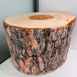 May include: A round wooden stool with a tree bark design. The top of the stool is a light brown wood with a darker brown ring in the center. The bottom of the stool is a dark brown with a light brown bark pattern.