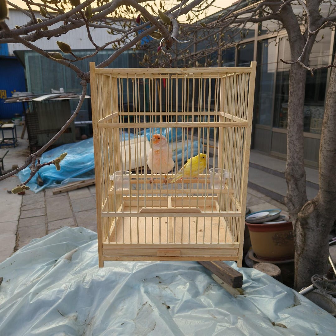 Picture of Charming Handmade Wooden Bird House, Meticulously Crafted for Avian ...