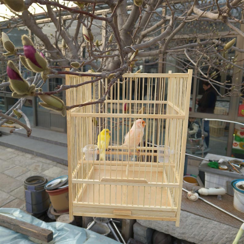 Charming Handmade Wooden Bird House, Meticulously Crafted for Avian ...