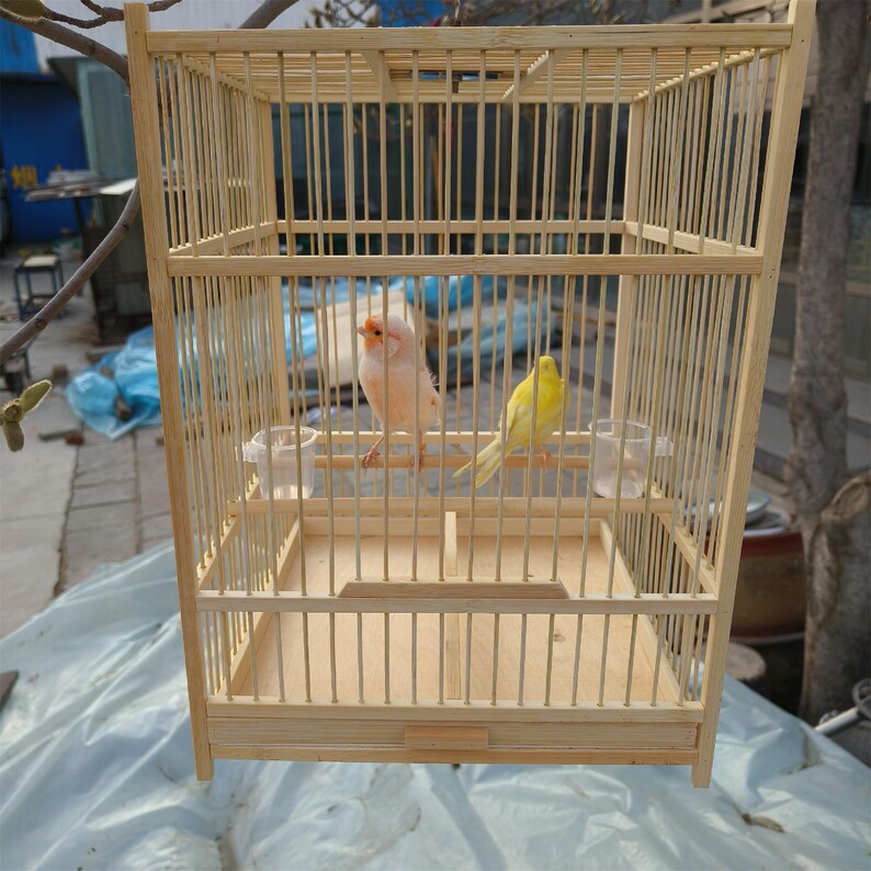 View of Bird Cage for Macaw - Etsy