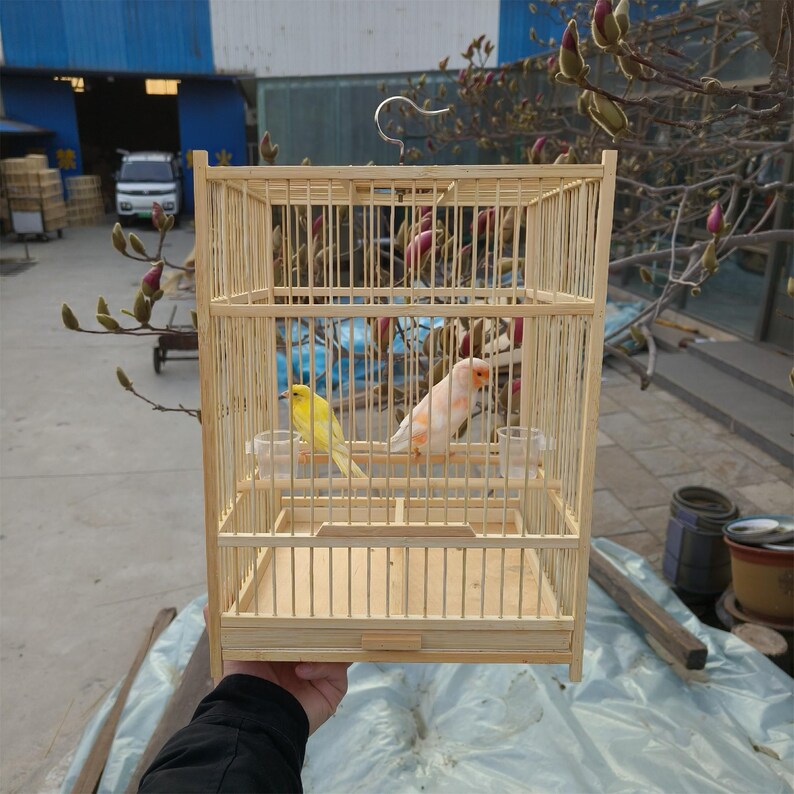 Image showcasing Charming Handmade Wooden Bird House, Meticulously Crafted for Avian ...