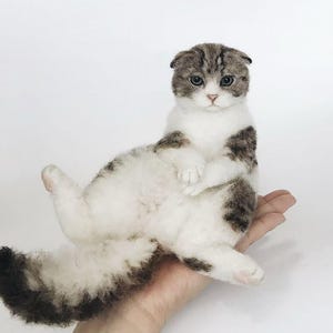 Peut inclure: Un chaton Scottish Fold en peluche fait à la main, avec un motif tabby blanc et marron. Le chaton est allongé sur le dos, avec ses pattes et sa queue visibles. Le chat a des oreilles pliées et des yeux bleus.