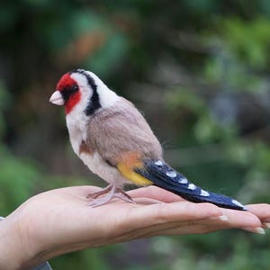 Handmade Needle Felted Goldfinch-1/1 Scale- An Adorable & Unique Woolen Sculpture-Perfect Gift for Bird Lovers