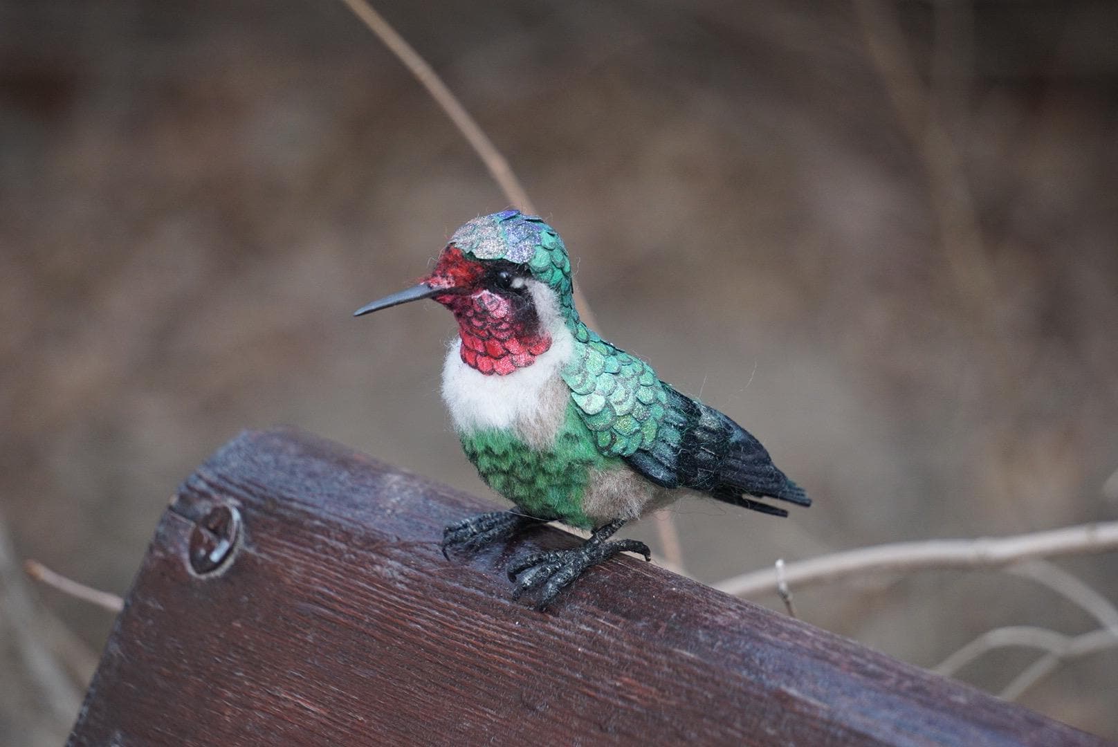 Taxidermy hummingbirds - Etsy 日本