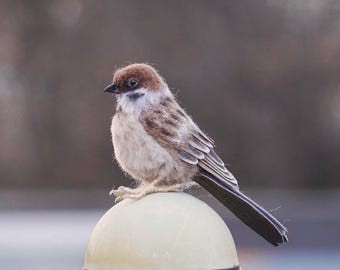 Needle Felted House Sparrow-13cm-1/1 Scale- An Adorable & Unique Woolen Sculpture-Perfect gift for bird lover