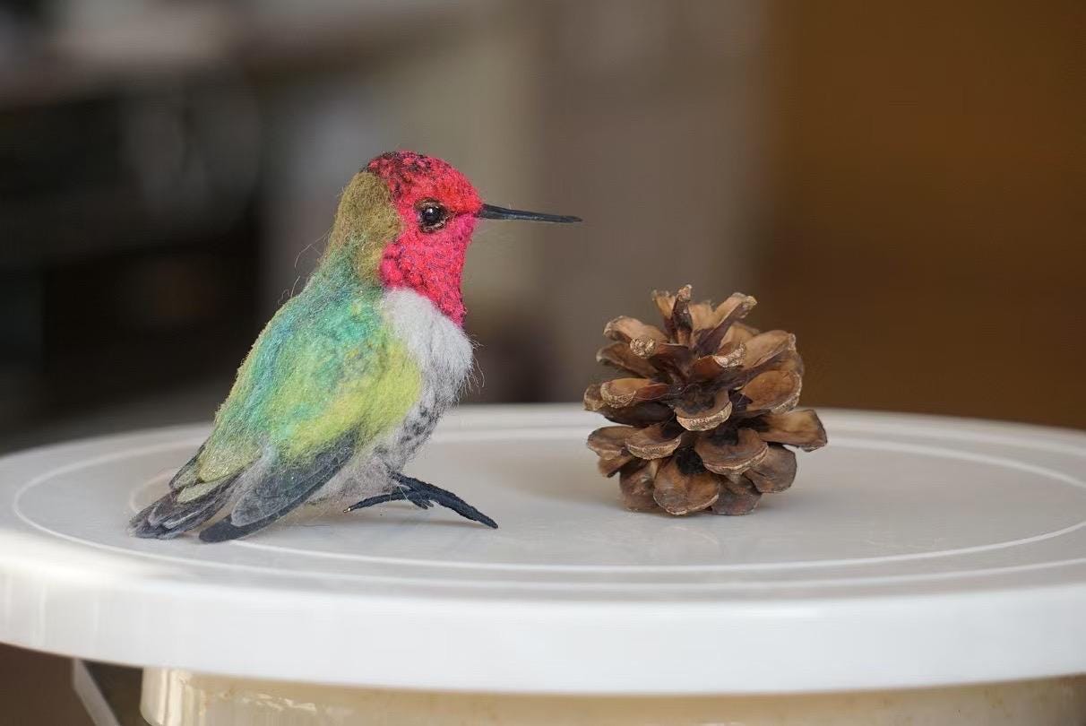 Taxidermy Hummingbirds Sweden