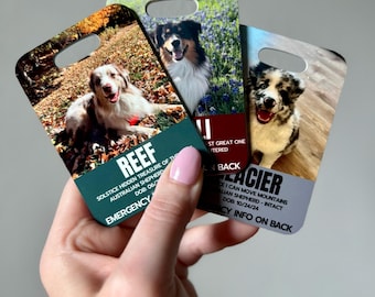 Custom Emergency Pet ID Tag: Personalized Pet Safety