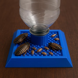 May include: A blue plastic insect trap with a clear plastic bottle attached. Several large brown insects and smaller tan insects are on the blue surface. The trap is on a brown wooden surface.