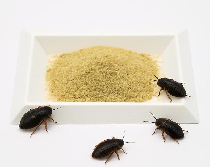 Image showcasing Jumbo Self-cleaning Dubia Roach Breeder Box, Commercial Grade Breeding ...