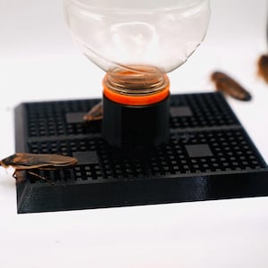 Insect Water & Food Feeder - Gravity Fed, Easy Access for Dubia Roaches, Crickets and More (LARGE)