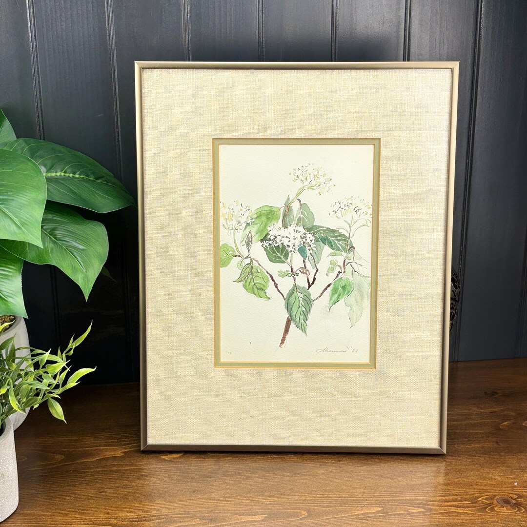 Vintage Botanical Watercolor Painting Original Framed Floral Watercolor ...