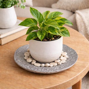 Metal Plant Saucer - Etsy
