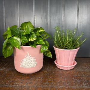 May include: Two pink plant pots containing greenery. The left pot is cylindrical with a white floral relief design, holding a pothos plant. The right pot is fluted with a matching saucer, containing a rosemary plant with thin, needle-like leaves.