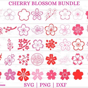 Bundle de fichiers coupés en fleurs de cerisier, svg de fleurs de cerisier, pngs de fleurs de cerisier, svg fleur de Sakura, svg fleur chinoise, clipart fleur de cerisier
