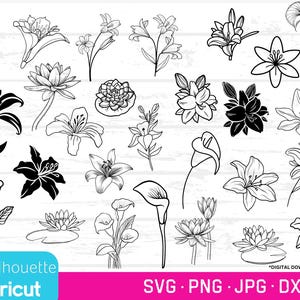 Paquete de flores de lirio, SVG, PNG, DXF, JPG, lirios, svg de lirio de la paz, lirio trompeta, svg de nenúfares, svg de flores de lirio, svg de lirio, dxf de lirio,