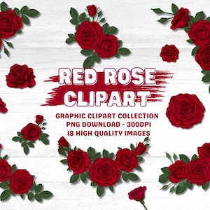 Pacote de Clip Art de Rosas Vermelhas, Vetores de Rosas, estética romântica, pngs de rosas, clipart de Flores Vermelhas, clip art de Rosas, 18 PNGs de 300 dpi