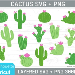 Cactus PNG Clipart e Layered SVG, arquivos de corte de cactos, svgs de camadas de cactos, clip art de cactos, clip art de suculentas, 15 arquivos de clip art de alta qualidade