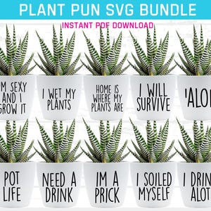 Arquivos SVG de plantas em vasos, trocadilhos SVG com plantas, arquivos de corte de plantas em vasos Cricut, trocadilhos engraçados com plantas em DXF, vetor de plantas em vasos a laser, frases SVG com plantas em vasos