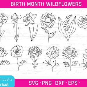 Bundle de fleurs de naissance dessinées à la main, svg de fleurs de naissance, mois de naissance dessin au trait, floral mois svg, lot de vecteurs de fleurs, fleur du mois Cricut