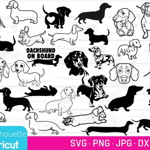 Dackel Bundle, SVG, PNGs, DXFs, Dashie Vektoren, Dackel Schneidedateien, Dackel Vektoren, Dackel Vektoren