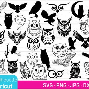 Bundle von Eulen, Eulen SVGs, PNGs, DXFs, Eulen Vektoren, Eulen Eulen, Eule Schnittdateien, Schleiereule Clipart, 33 Designs