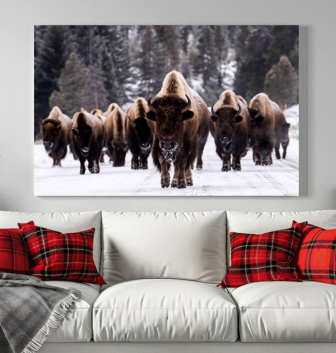 Bison Wall Art Print Wild Bison Herd Canvas Wall Art Rustic Bison