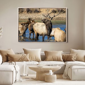 Wild Elk Wall Art Canvas Print, Framed Rustic Wildlife Art Picture Print, Deer Herd Perfect Rustic Nature Decor Artwork