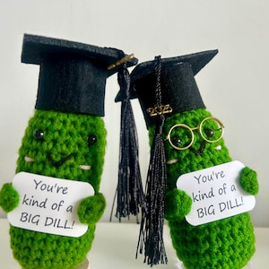 2025 GRADUATE Positive Pickle, Positive Potato, Funny Desk Decor, Crochet Amigurumi, Personalized Graduation Gift
