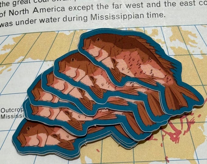 Red Fish Sticker, Soldierfish Vinyl Vintage Stickers, Bumper Sticker ...