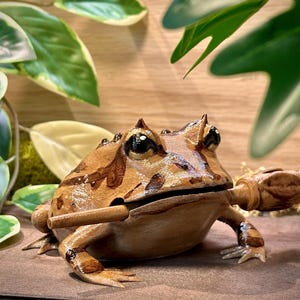May include: A detailed, hand-painted frog figurine in shades of brown and tan, holding a wooden object in its mouth. The frog has large, black eyes and is surrounded by green foliage.