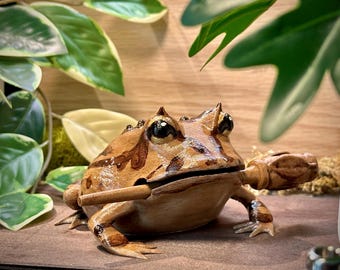 Croaking Pac-Man Frog Guiro